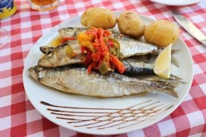 Sardines vis