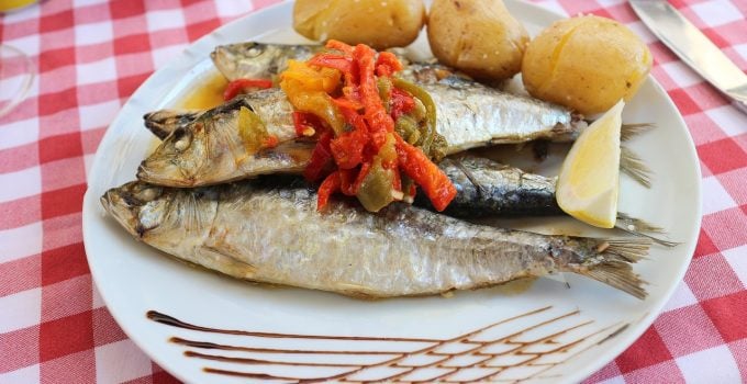 Sardines vis