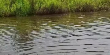 Wateroverlast Para