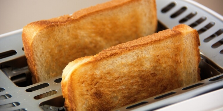 brood tosti