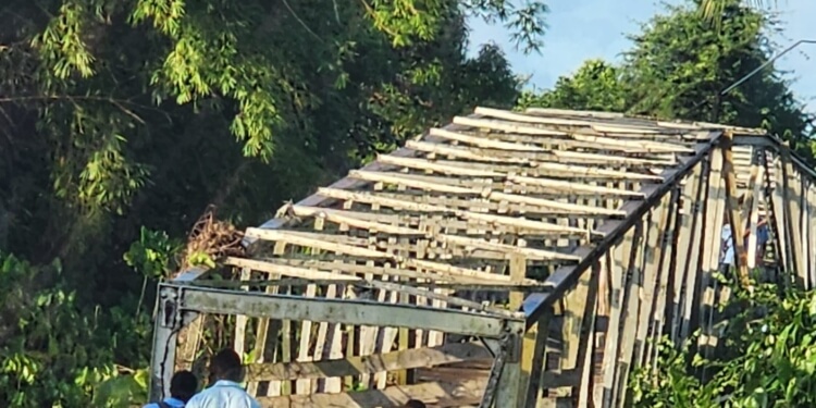 Loopbrug Paranam