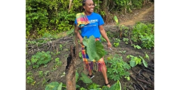 sylvana afonsoewa