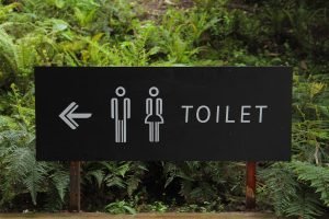toilet