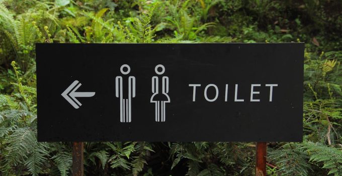 toilet