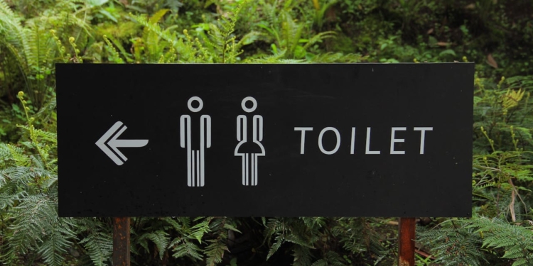 toilet