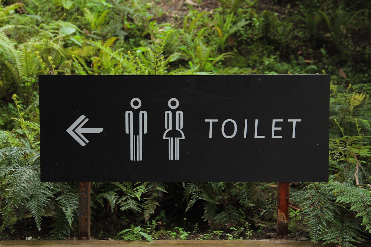 toilet