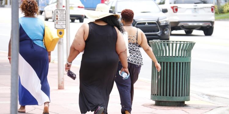 Dik obese overgewicht