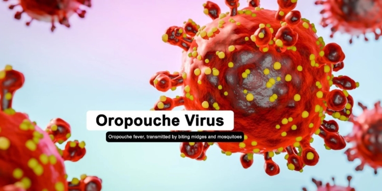 Virus