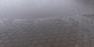 Wateroverlast regen buien
