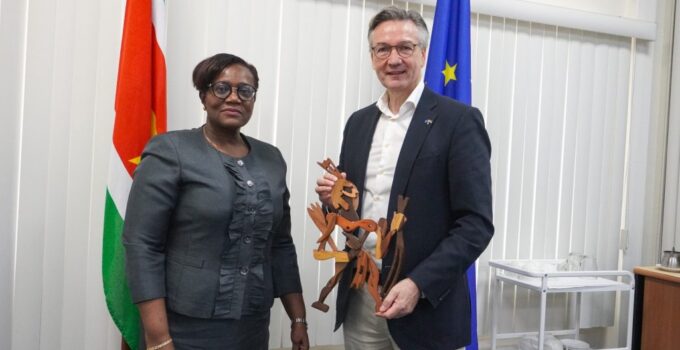 eu ambassadeur rene van
