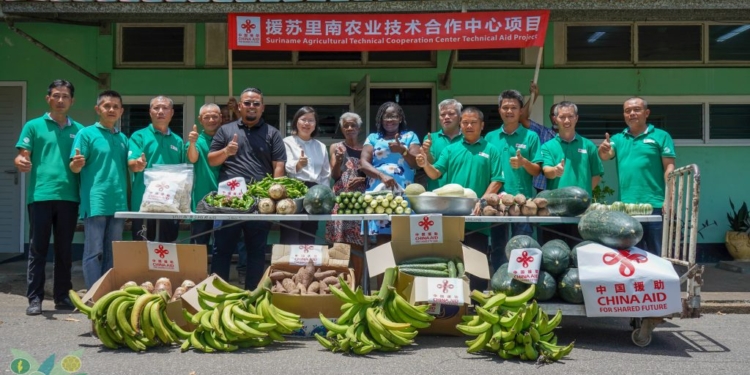 lvv en china