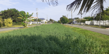 Torricellistraat Paramaribo Noord