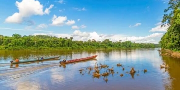 Het Centraal Suriname Natuurreservaat bezoeken met alle bezienswaardigheden