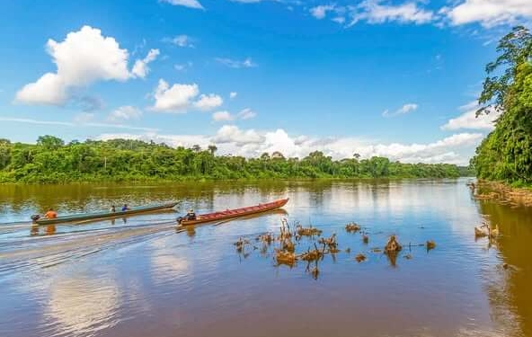 Het Centraal Suriname Natuurreservaat bezoeken met alle bezienswaardigheden