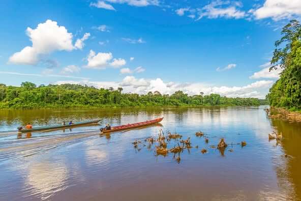 Het Centraal Suriname Natuurreservaat bezoeken met alle bezienswaardigheden
