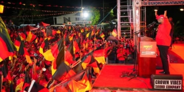 ppp irfaan ali guyana