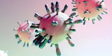 virus griep