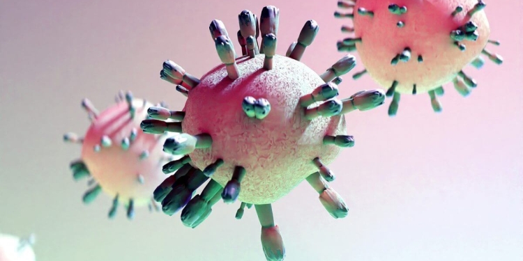 virus griep