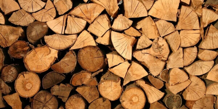 Hout
