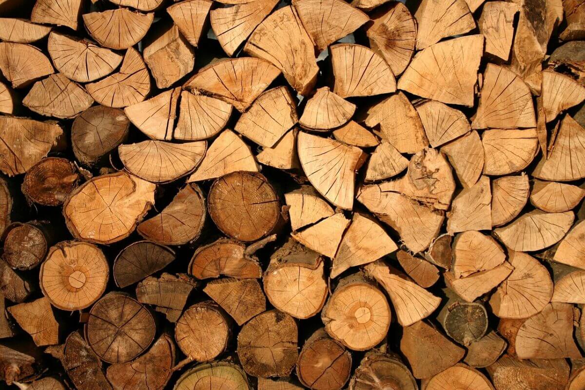 Hout