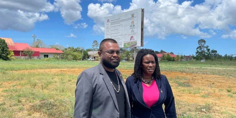 danielle de windt dc commewijne