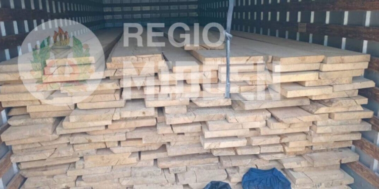 illegale hout