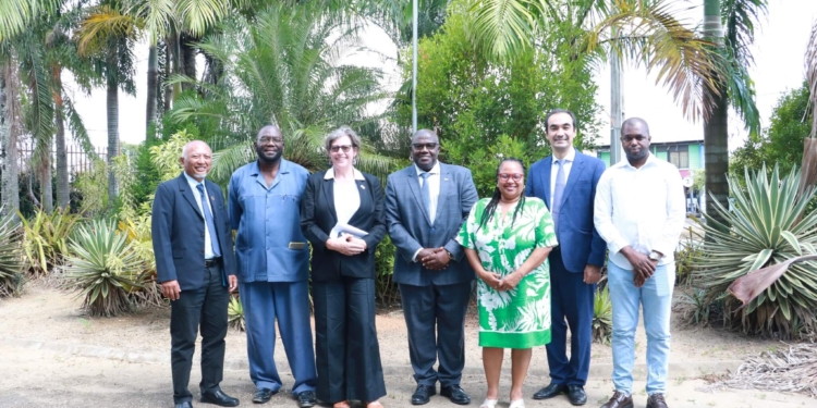 landveld en undp