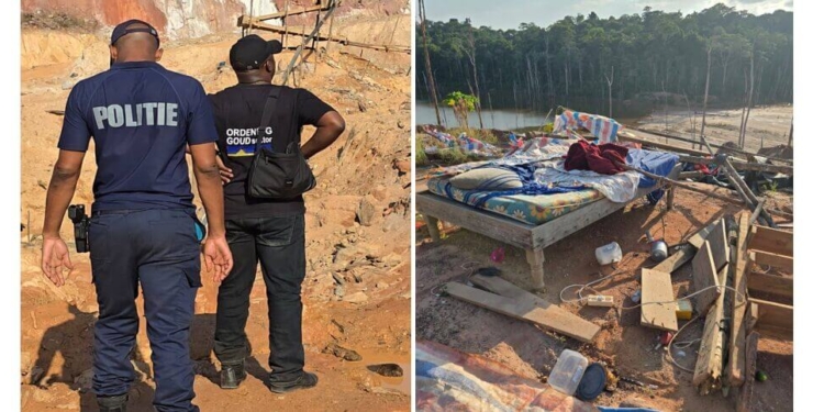 ordening goudsector illegale mijnbouw