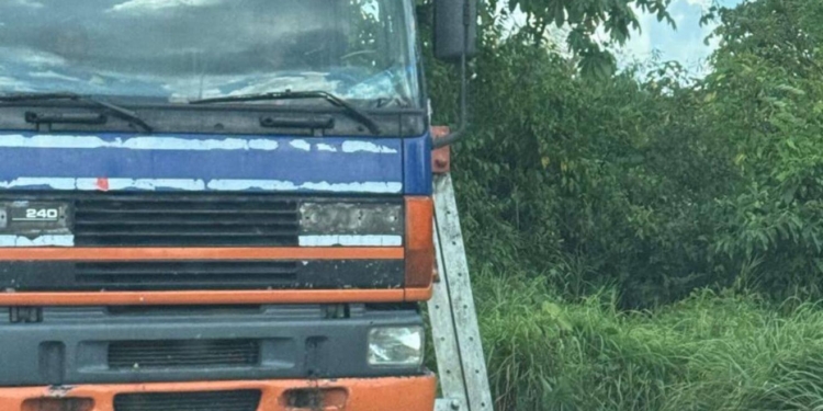 truck over parakreek