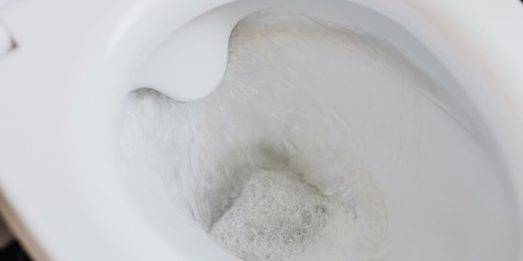 wc toilet