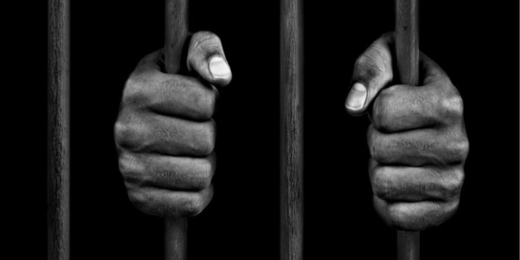 [Aggregator] Downloaded image for imported item #420169