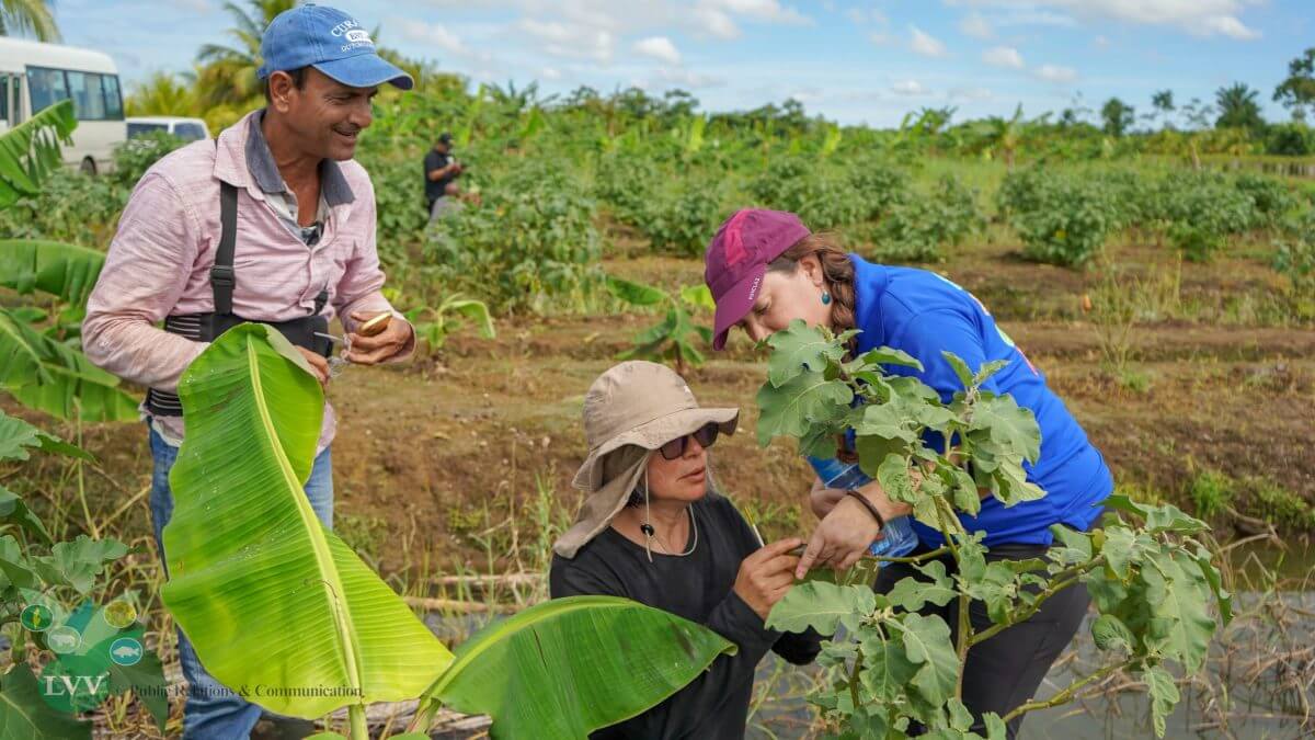 [Aggregator] Downloaded image for imported item #421703