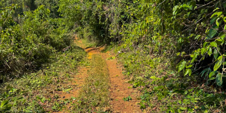 [Aggregator] Downloaded image for imported item #418741