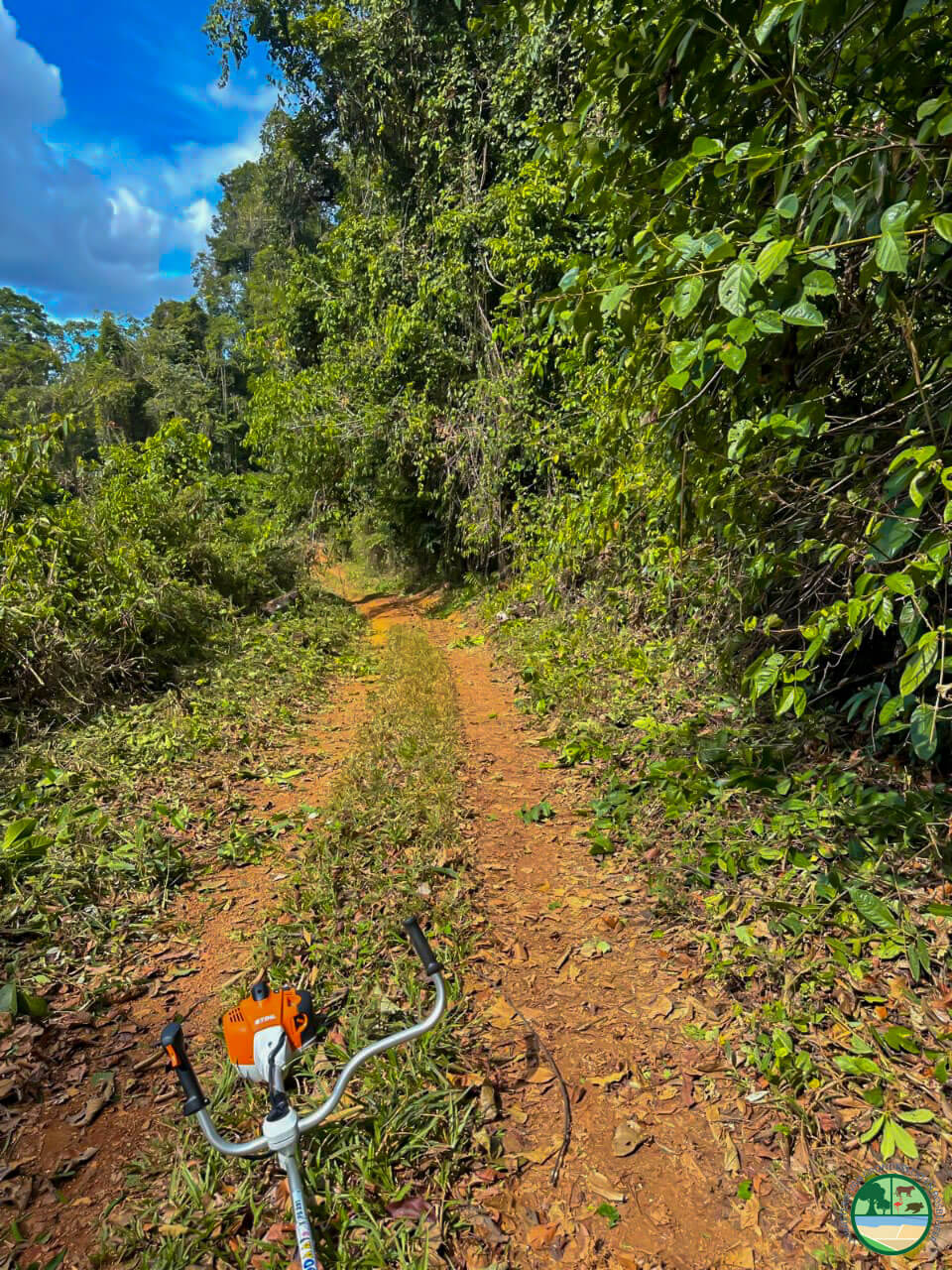 [Aggregator] Downloaded image for imported item #418741