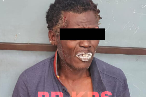 [Aggregator] Downloaded image for imported item #421724