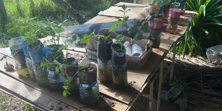 [Aggregator] Downloaded image for imported item #421913