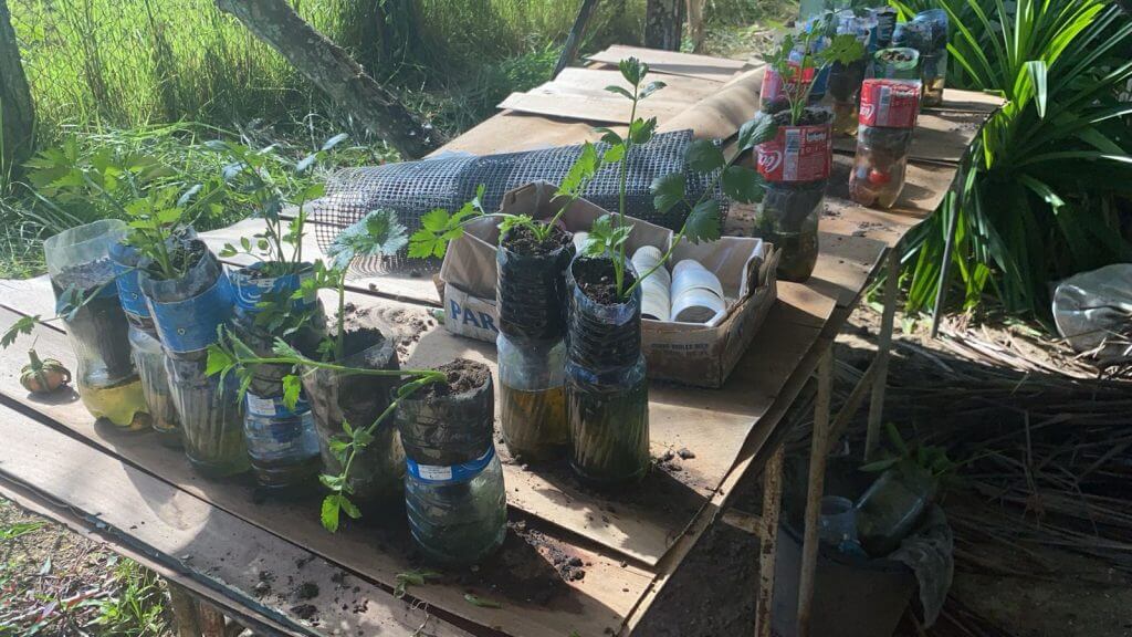 [Aggregator] Downloaded image for imported item #421913