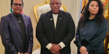 leden DIn diaspora en panka