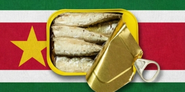 sardien sardines