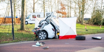 Tesla Diever 112Nederland