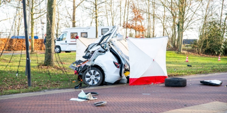 Tesla Diever 112Nederland