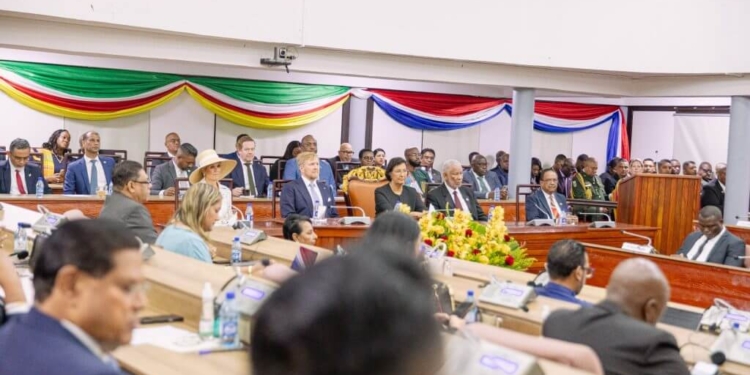 DNA, Kabinet Suriname