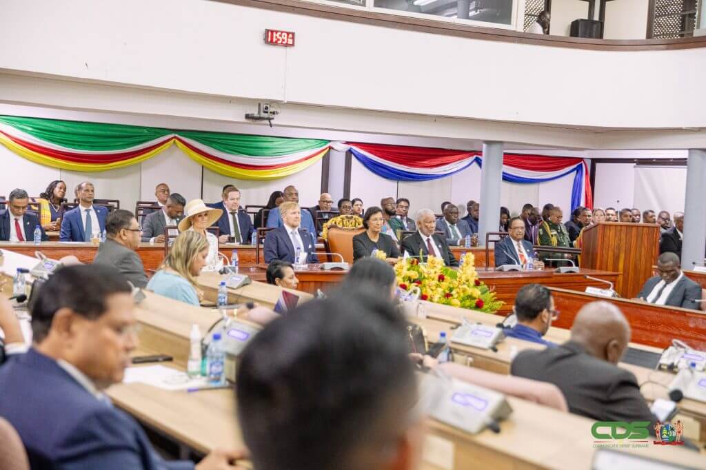 DNA, Kabinet Suriname