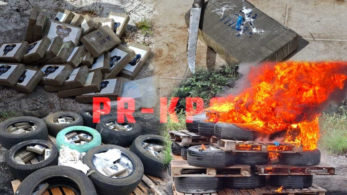 In Para is ruim vijfhonderd kilo in beslag genomen drugs vernietigd.