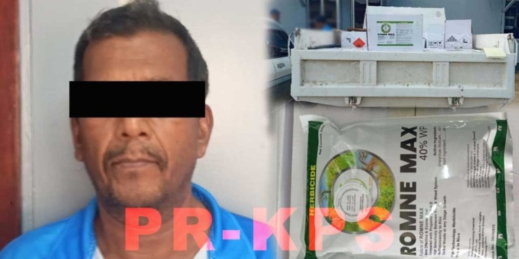 [Aggregator] Downloaded image for imported item #423943