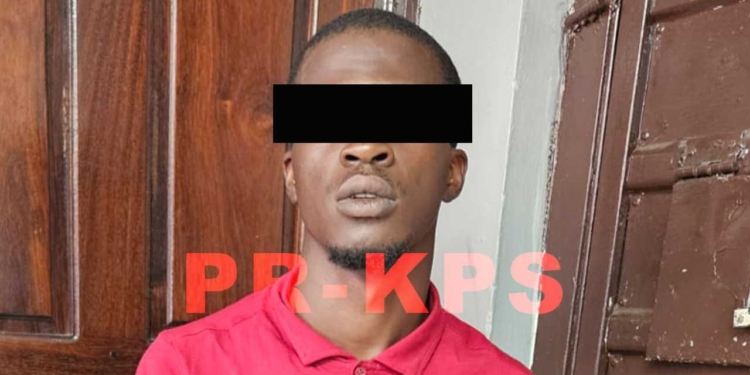 [Aggregator] Downloaded image for imported item #424308