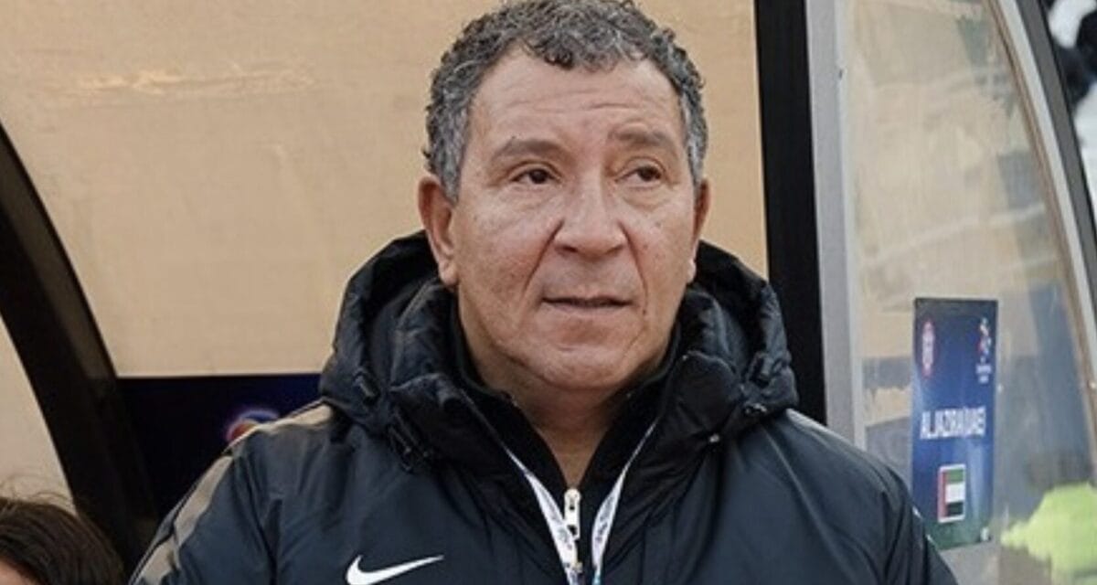 henk ten cate