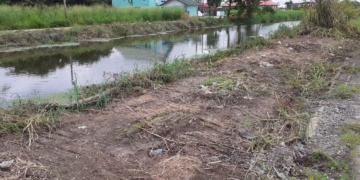 suriname paramaribo kreek sloot trens afvoer