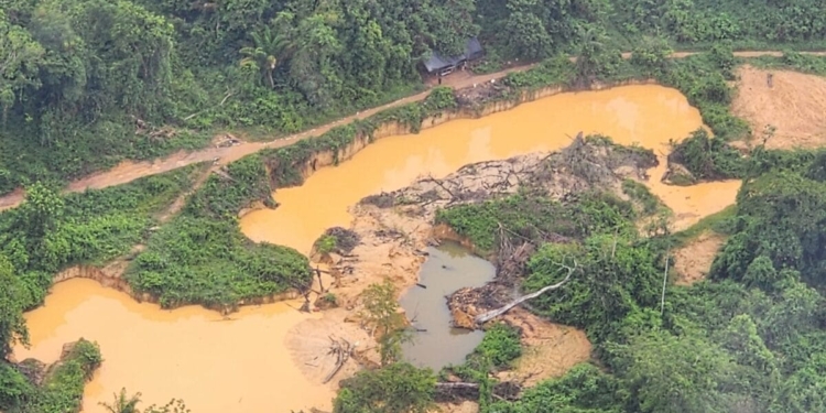 vervuiling goudwinning