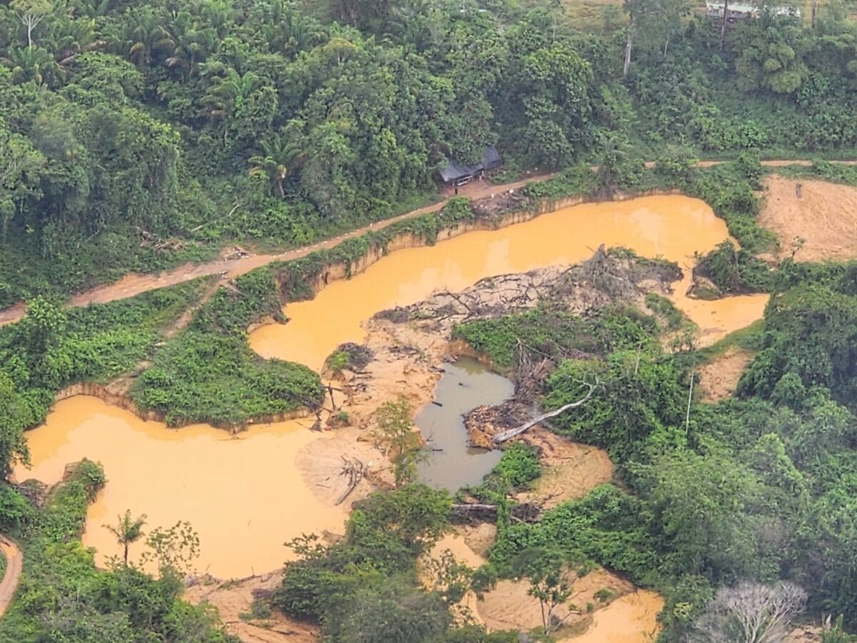 vervuiling goudwinning